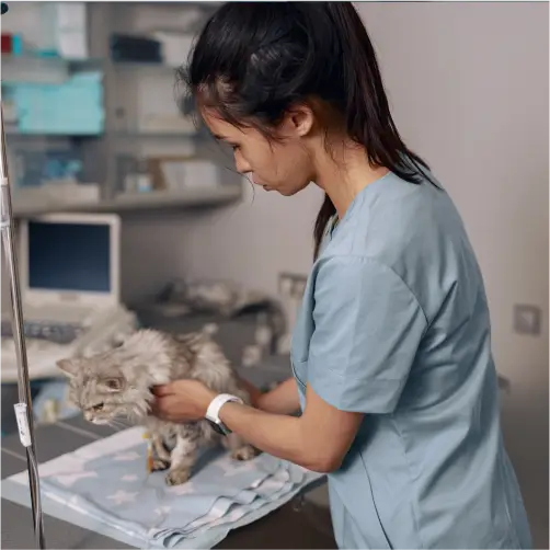 Curso de Parasitologia Veterinária