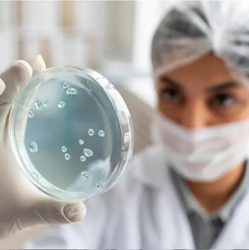 Curso de Microbiologia veterinaria